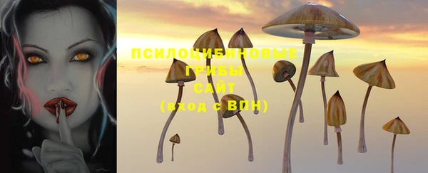 мдпв Бронницы